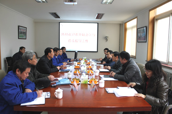 久久99精品国产99久久